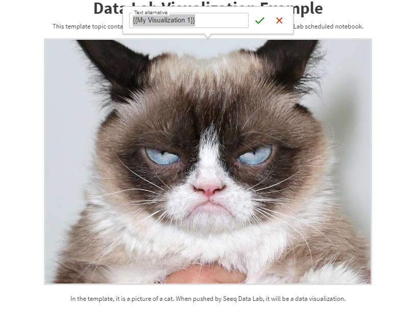 ../_images/GrumpyCatMustache.jpg